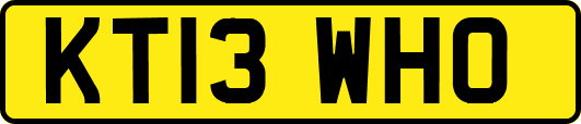KT13WHO
