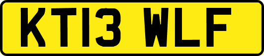 KT13WLF