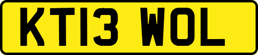 KT13WOL