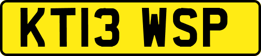 KT13WSP