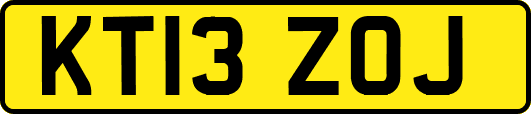 KT13ZOJ