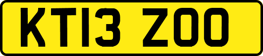 KT13ZOO