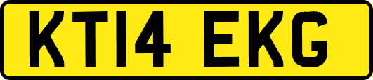 KT14EKG