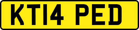 KT14PED