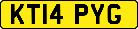 KT14PYG