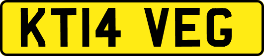KT14VEG