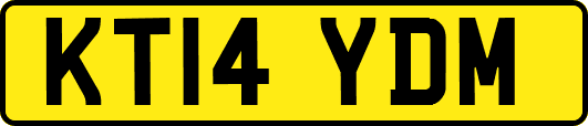 KT14YDM