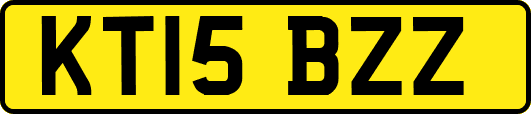 KT15BZZ