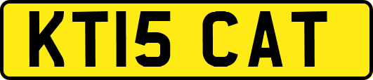 KT15CAT