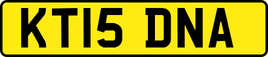 KT15DNA