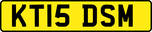 KT15DSM