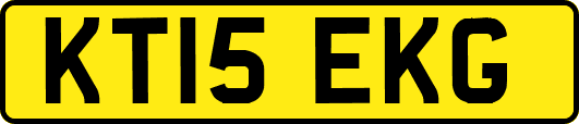 KT15EKG