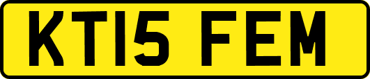 KT15FEM