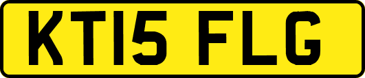 KT15FLG