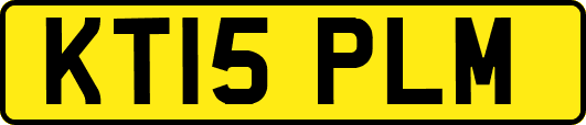 KT15PLM