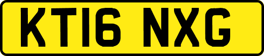 KT16NXG