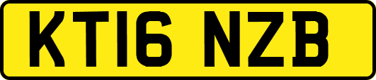 KT16NZB