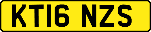KT16NZS