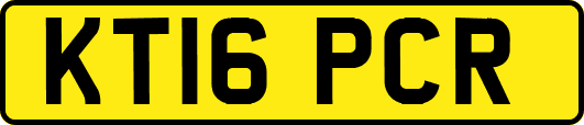 KT16PCR