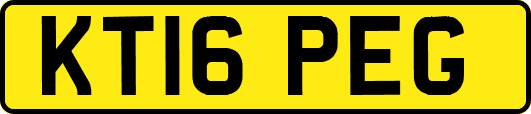 KT16PEG