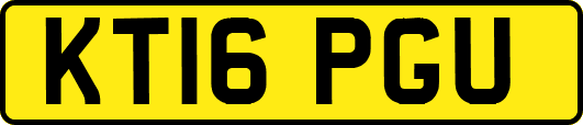 KT16PGU