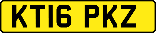 KT16PKZ