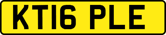 KT16PLE