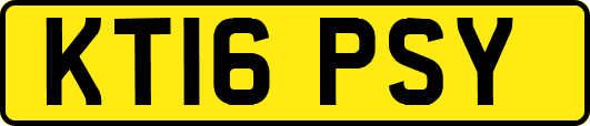 KT16PSY