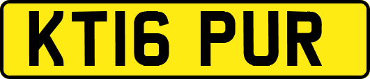 KT16PUR