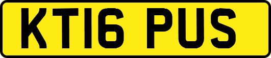 KT16PUS