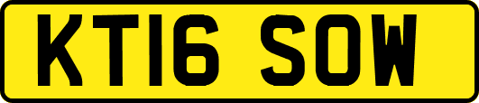 KT16SOW