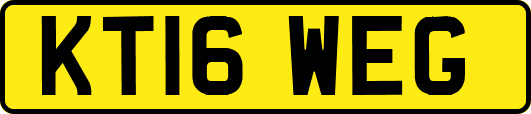 KT16WEG