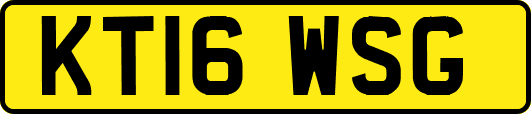 KT16WSG