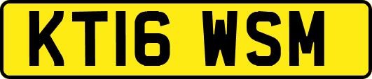KT16WSM