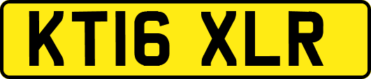 KT16XLR