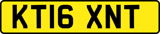 KT16XNT