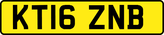 KT16ZNB