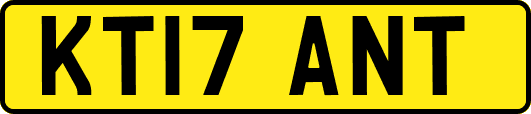KT17ANT