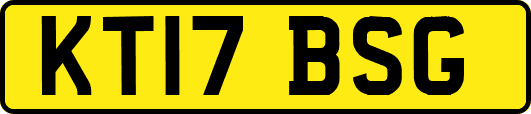 KT17BSG