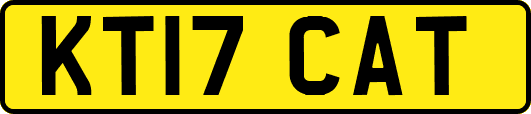 KT17CAT