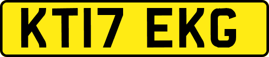 KT17EKG