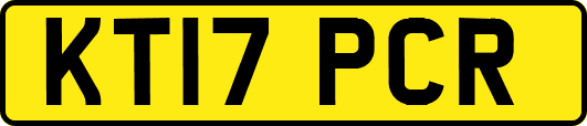 KT17PCR