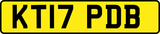 KT17PDB
