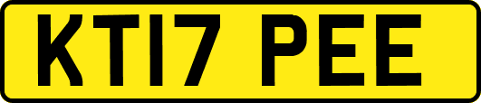 KT17PEE
