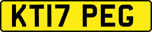 KT17PEG