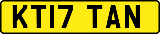 KT17TAN
