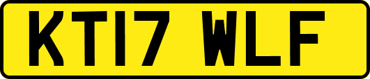 KT17WLF