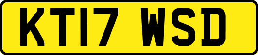 KT17WSD