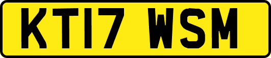 KT17WSM