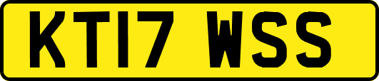 KT17WSS